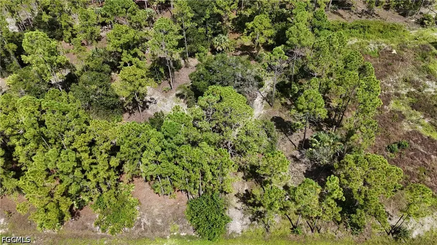 1212 Calvin Avenue, Lehigh Acres, FL 33972 - #3