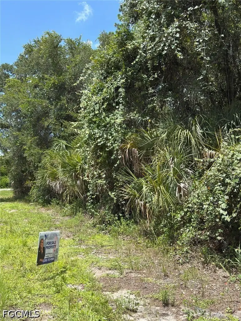 14132 Hanover Avenue, Port Charlotte, FL 33953 - #2