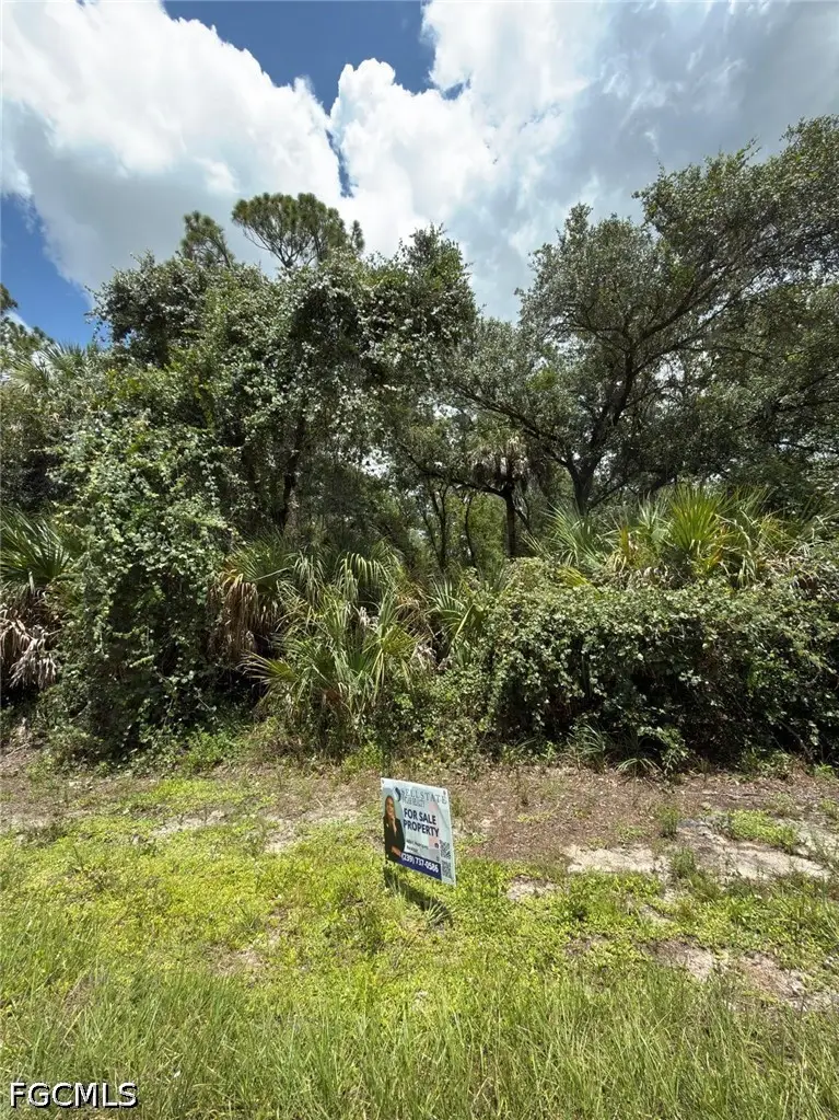 14132 Hanover Avenue, Port Charlotte, FL 33953 - #3