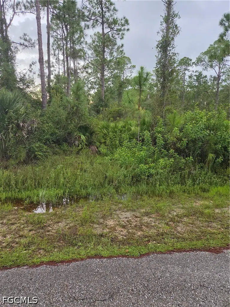 2310 Truman Avenue, Alva, FL 33920 - #2