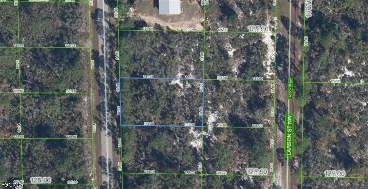 222 Marlin Street Nw, Lake Placid, FL 33852 - #1