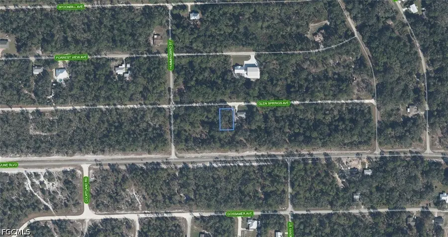 3230 Glen Springs Avenue, Lake Placid, FL 33852 - #2