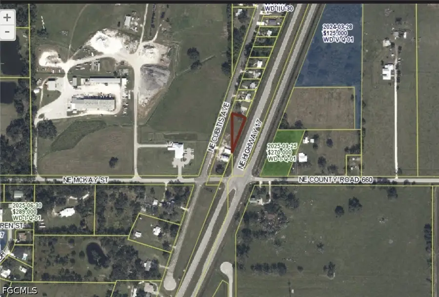 4538 NE Cubitis Avenue, Arcadia, FL 34266 - #2