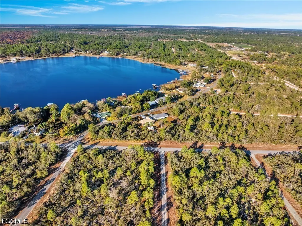 1234 Wildflower Street, Lake Placid, FL 33852 - #1