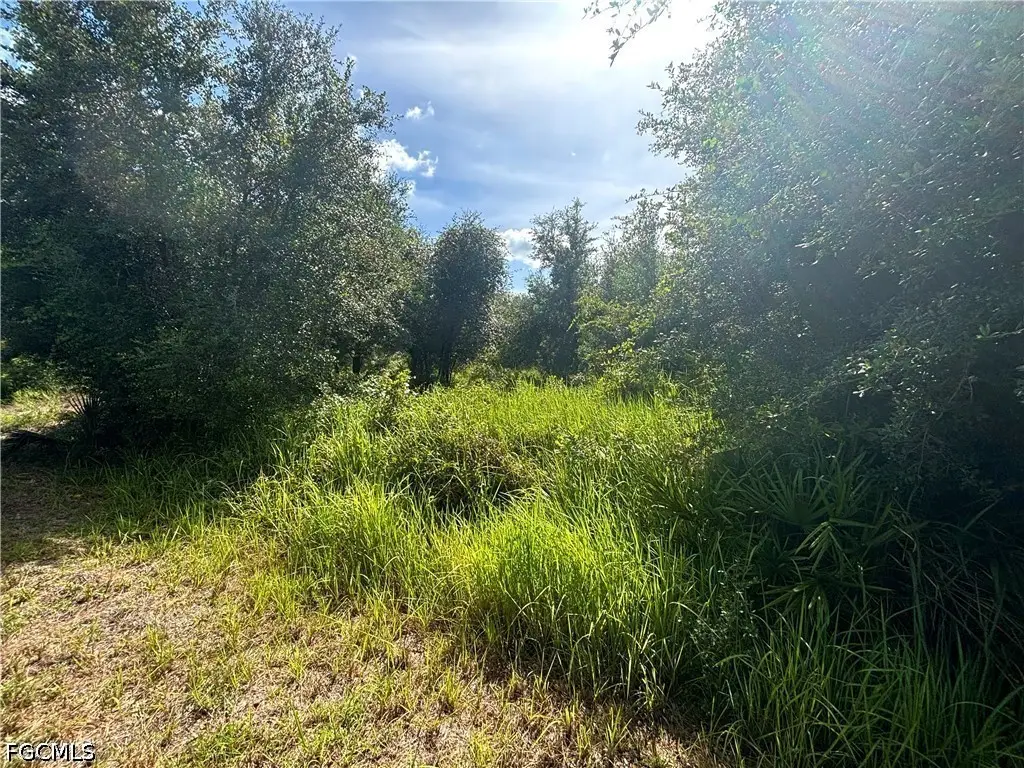 809 5th Avenue E, Lehigh Acres, FL 33972 - #1