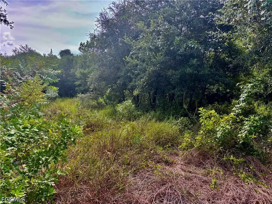 809 5th Avenue E, Lehigh Acres, FL 33972 - #2