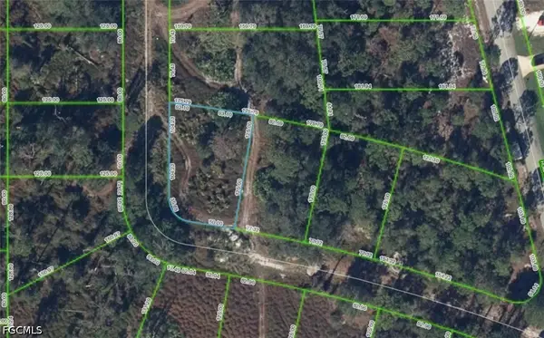 108 Chandler Terrace Ne, Lake Placid, FL 33852