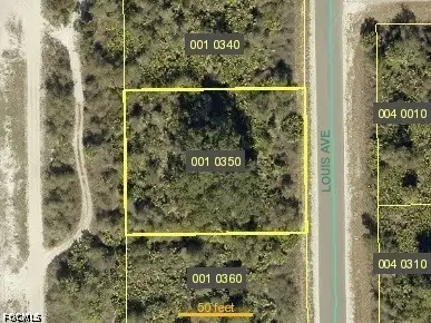 2803 Louis Avenue, Alva, FL 33920 - #1