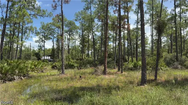 2210 Truman Avenue, Alva, FL 33920