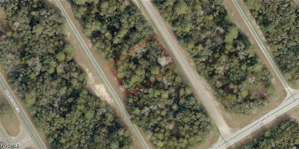 8001-0252-13 Alley Road, Ocala, FL 34473