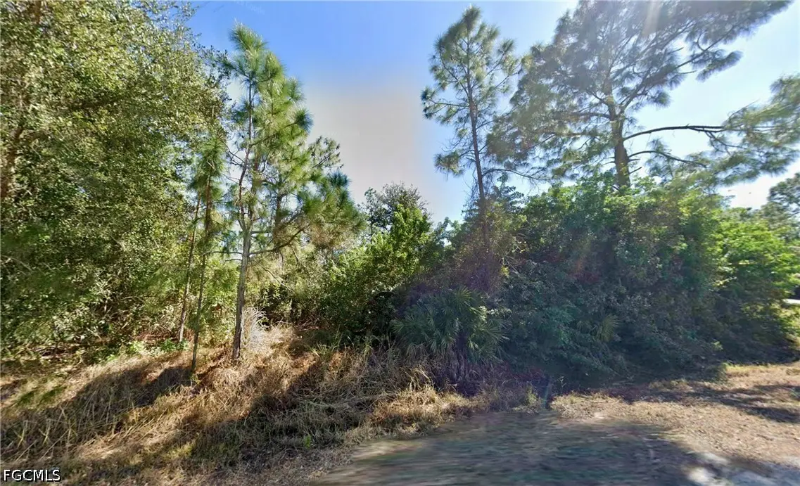 1110 Desoto Avenue, Lehigh Acres, FL 33972 - #1
