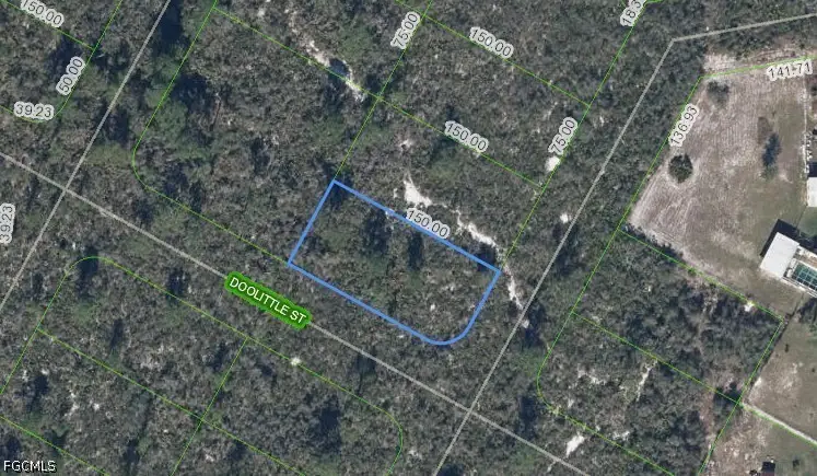 1424 Doolittle Street, Lake Placid, FL 33852 - #1
