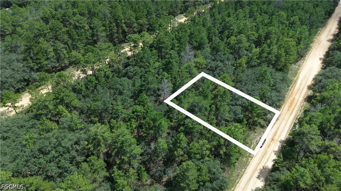 Address Withheld By Seller, Interlachen, FL 32148 - #1