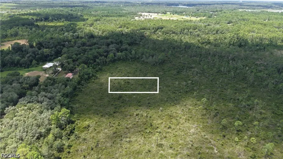 Crocus Lane, Hawthorne, FL 32640 - #2
