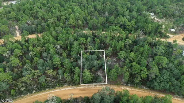 Crocus Ln, Interlachen, FL 32148