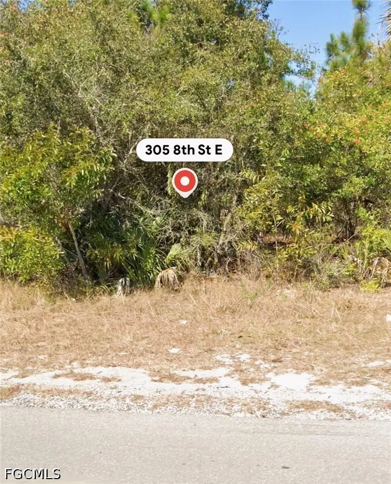 305 E 8th Street, Lehigh Acres, FL 33972 - #3