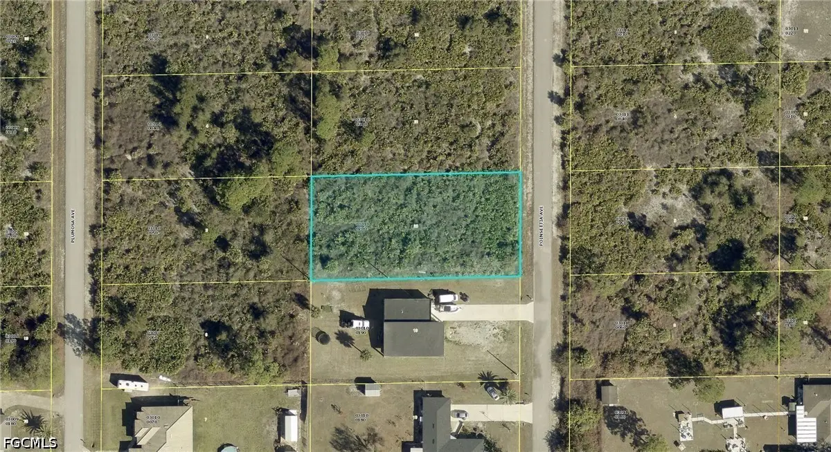 1215 Poinsettia Avenue, Lehigh Acres, FL 33972 - #1