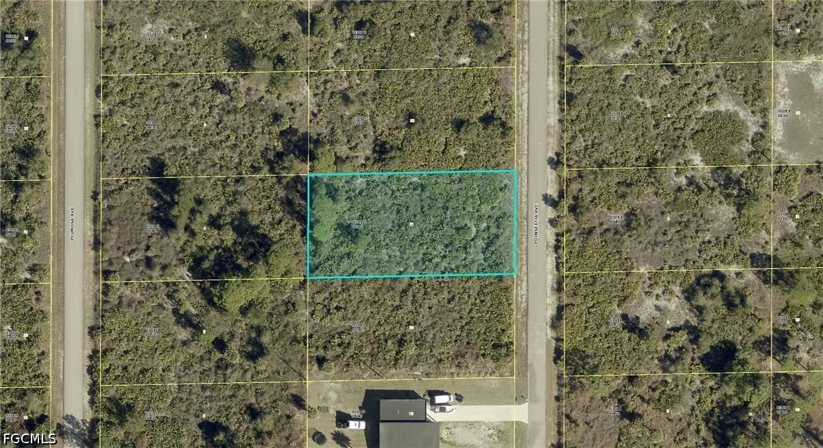 1217 Poinsettia Avenue, Lehigh Acres, FL 33972 - #1