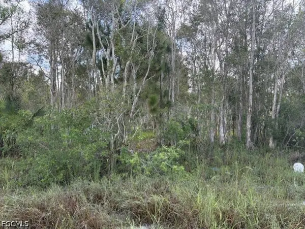 721 Bluebird Avenue, Lehigh Acres, FL 33974