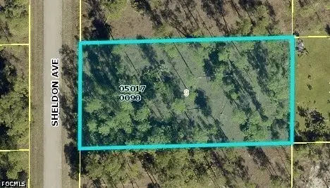 1306 Sheldon Avenue, Lehigh Acres, FL 33972