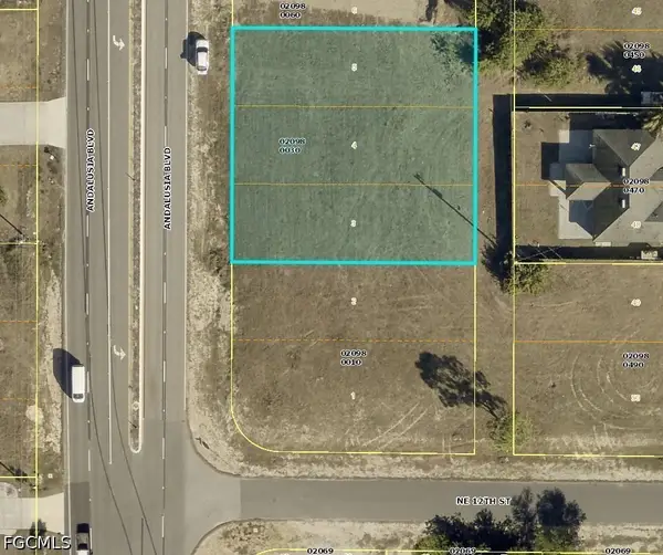 1207 Andalusia Boulevard, Cape Coral, FL 33909