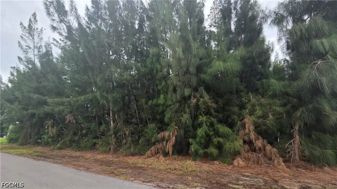 1121 NW 24th Place, Cape Coral, FL 33993 - #1
