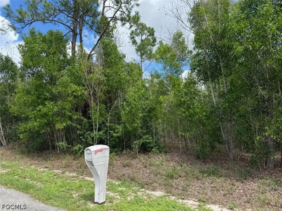 216 Scott Avenue, Lehigh Acres, FL 33936 - #3