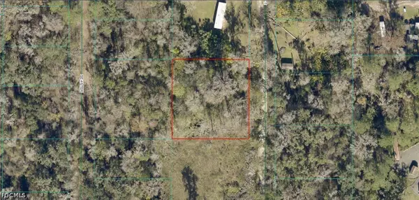 SE 42 Court, Belleview, FL 34420