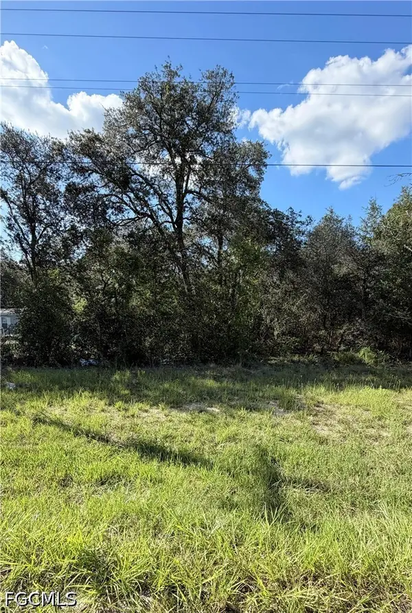 NE 106th Terrace, Williston, FL 32621