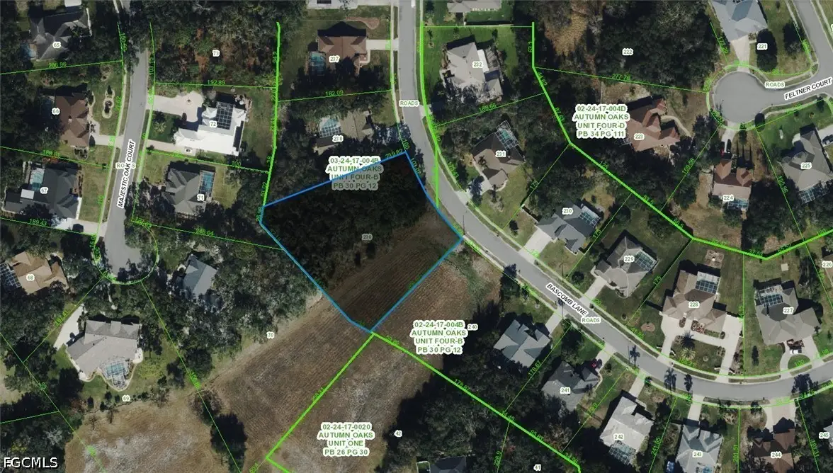 Bascomb Lane, Port Richey, FL 34667 - #1