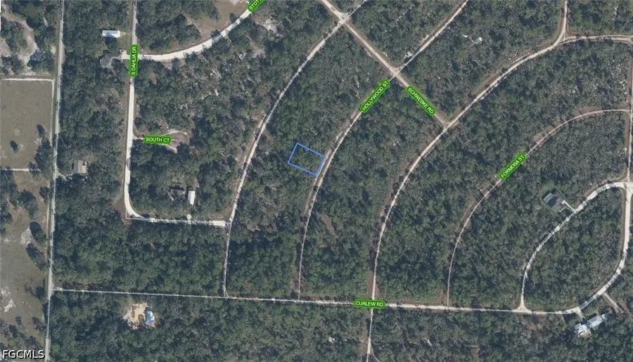 818 Hollywood Street, Lake Placid, FL 33852 - #2