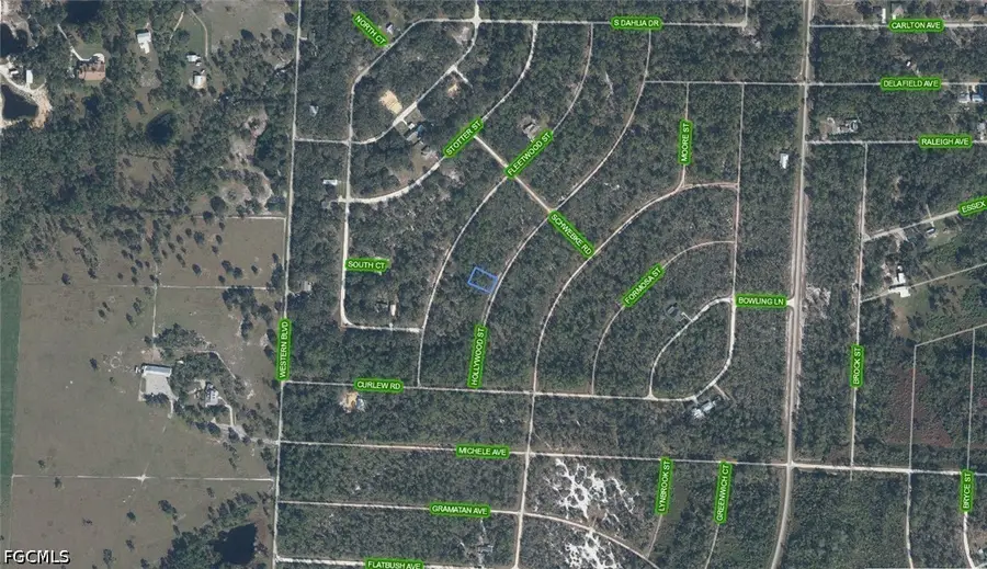 818 Hollywood Street, Lake Placid, FL 33852 - #3