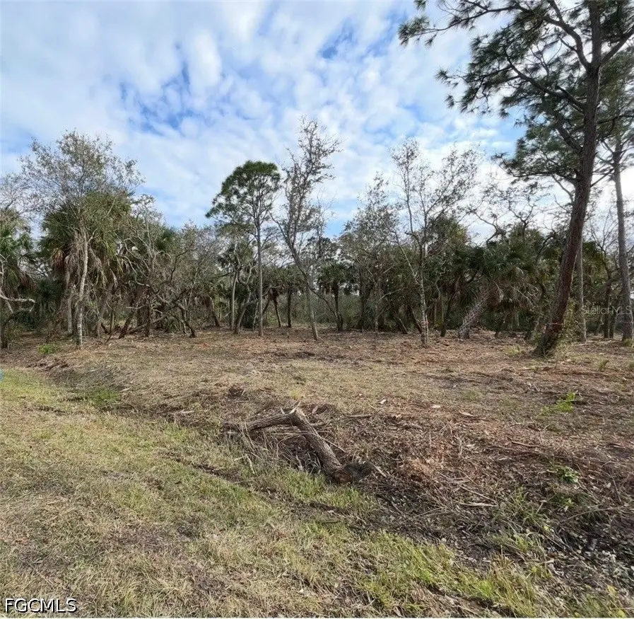 27051 Suede Drive, Punta Gorda, FL 33955 - #3