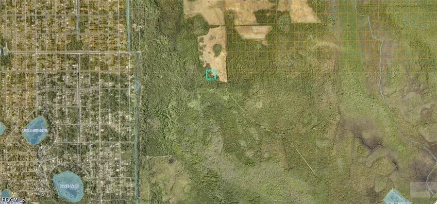 Orient Drive, Hernando Beach, FL 34607 - #3