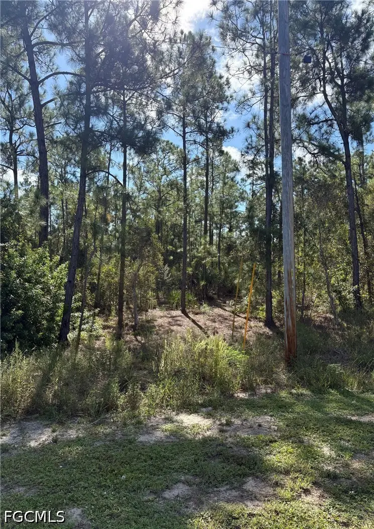 825 Grenada Avenue, Lehigh Acres, FL 33974 - #1