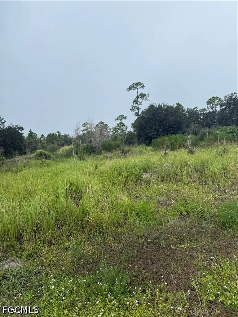 1005 Michael Avenue, Lehigh Acres, FL 33936 - #1