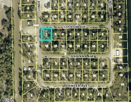 315 Ludlow Avenue, Lehigh Acres, FL 33972 - #3