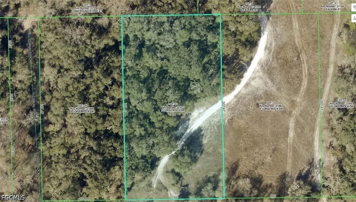 33099 Coral Rock Drive, Webster, FL 33597 - #1