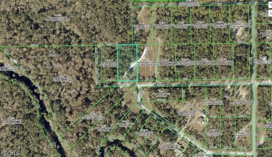 33099 Coral Rock Drive, Webster, FL 33597 - #2