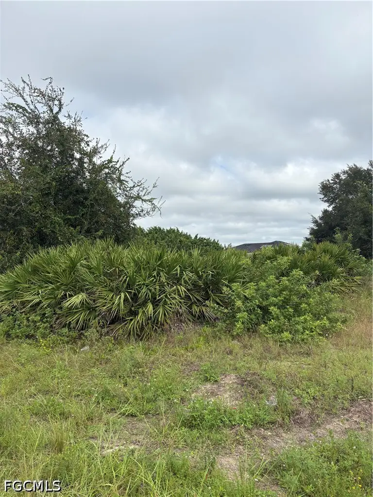 3310 8th Street Sw, Lehigh Acres, FL 33976 - #2