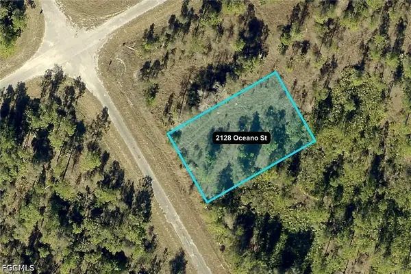 2128 Oceano Street, Lehigh Acres, FL 33972