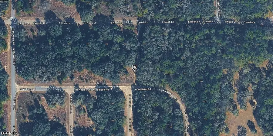 7969 N Addison Road, Citrus Springs, FL 34434 - #2
