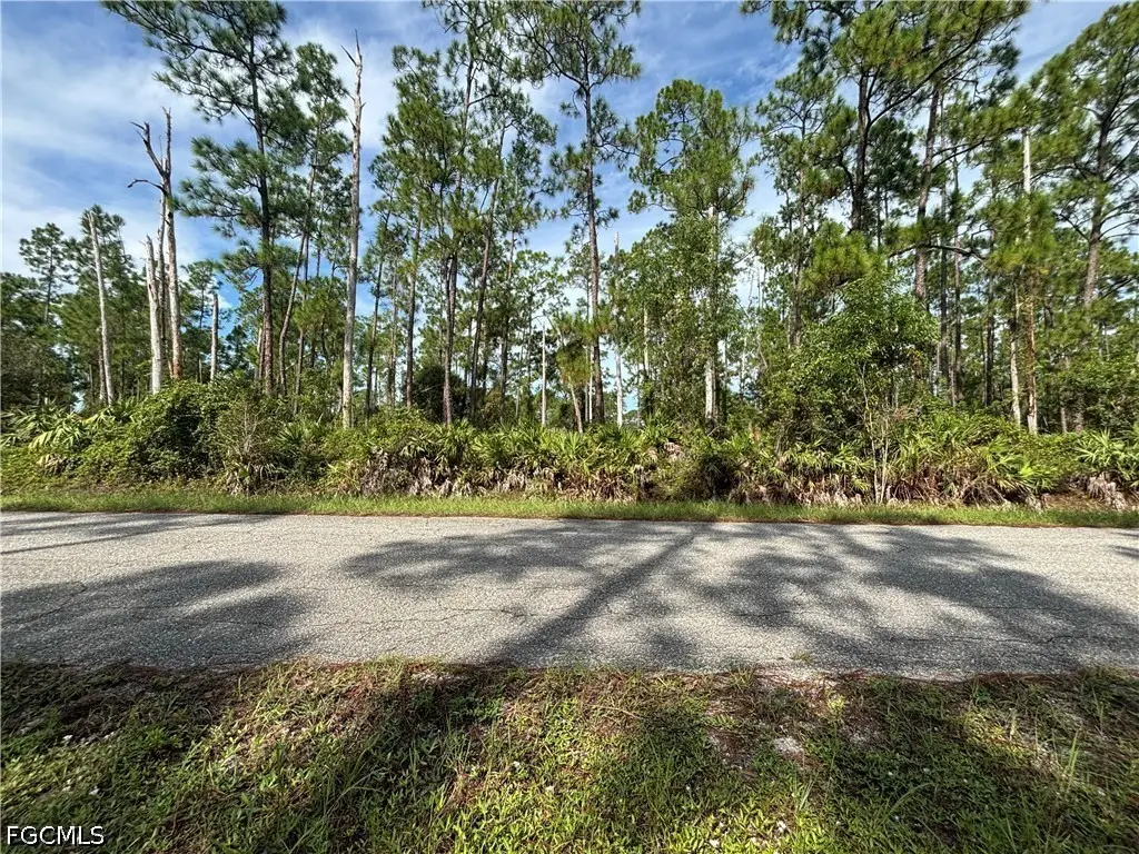 117 Grant Avenue, Lehigh Acres, FL 33936 - #1