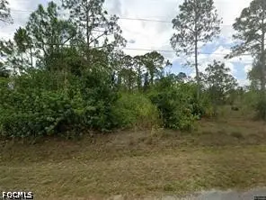 908 Clark Avenue, Lehigh Acres, FL 33972 - #1