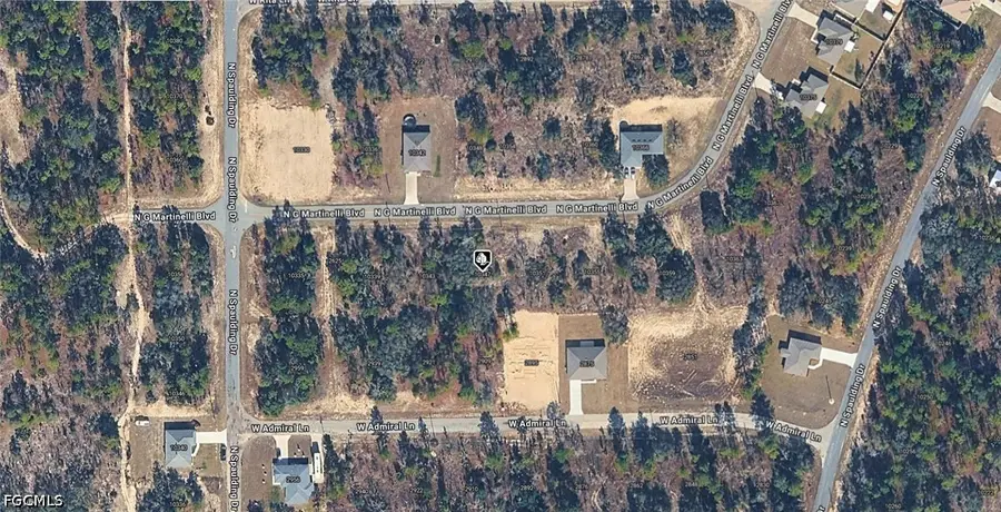 10347 N G Martinelli Boulevard, Citrus Springs, FL 34434 - #2