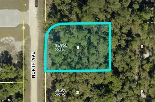 720 North Avenue, Lehigh Acres, FL 33972 - #2