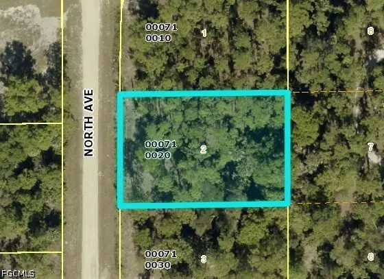 718 North Avenue, Lehigh Acres, FL 33972 - #2