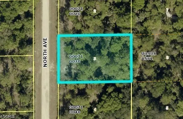 716 North Avenue, Lehigh Acres, FL 33972 - #2