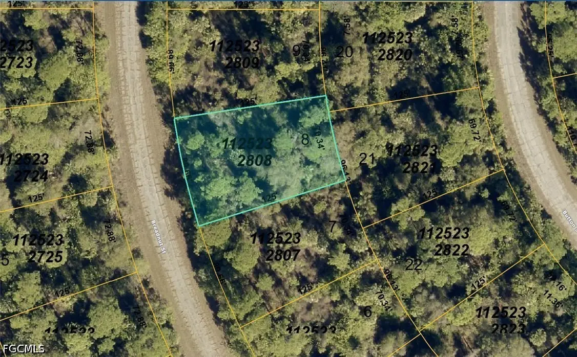 1125232808 Breadnut Street, North Port, FL 34288 - #1