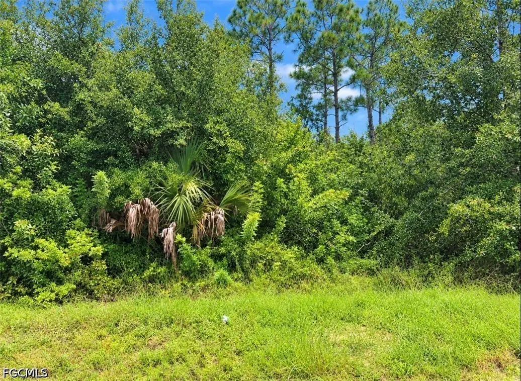 13346 Cappy Terrace, Punta Gorda, FL 33955 - #1